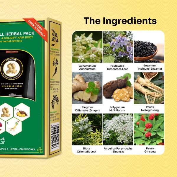 Anti Hair Fall Herbal Pack - Image 3