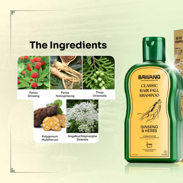 Classic Hairfall Shampoo - Image 2